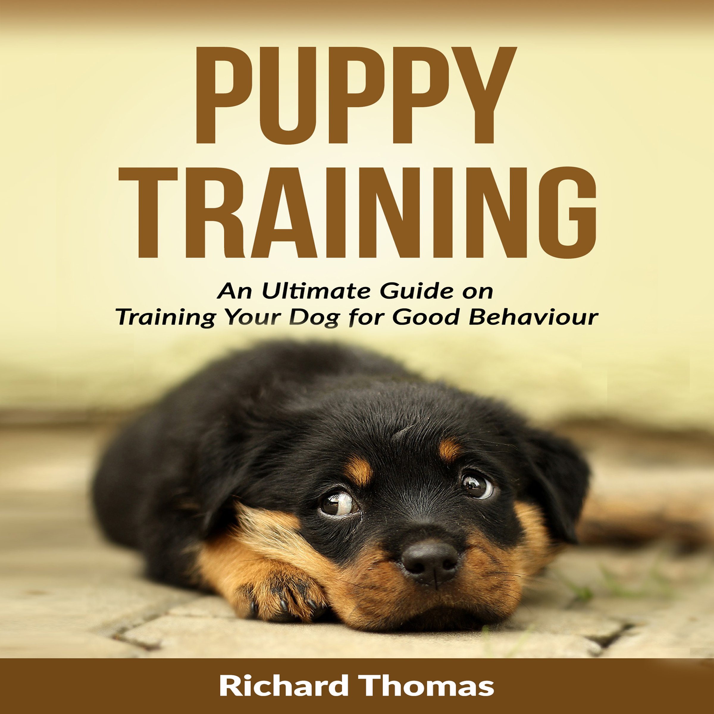 Puppy Training Boot Camp