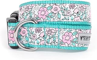 The Worthy Dog Garden Party Floral Pattern Designer Adjustable and Comfortable Nylon Webbing, Side Release Buckle Collar for Dogs, Teal Color-Medium