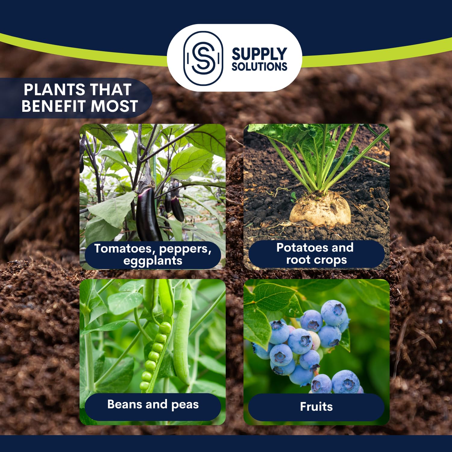 Supply Solutions Muriate of Potash 0-0-60 Fertilizer - High Potassium Fertilizer for Lush Crops & Blooms, Ideal for Acidic Plants (5lbs)