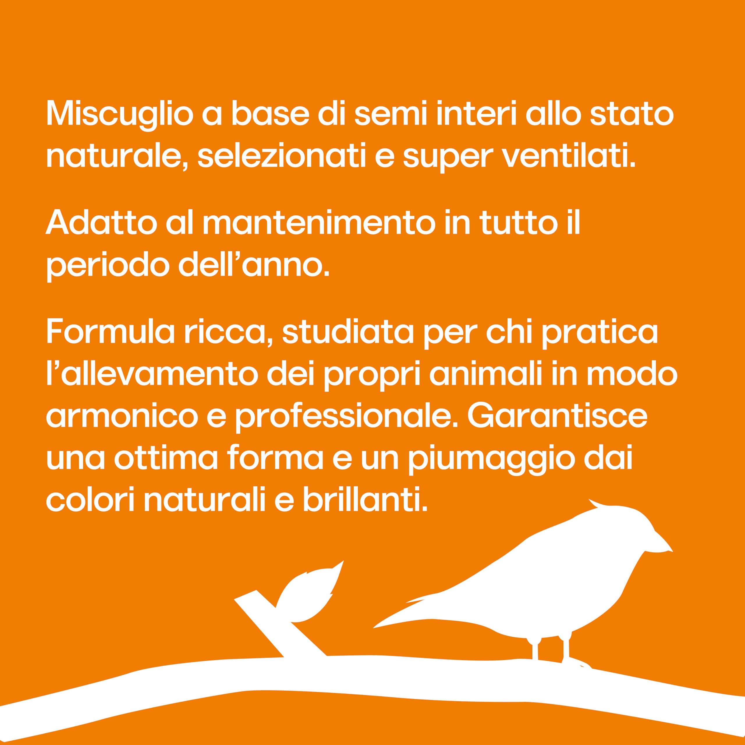 Il Contadino - Antichi Becchimi | MISCUGLIO per PARROCCHETTI | Formula ricca di semi Selezionati adatta per tutto l'anno, No OGM, 100% Vegetale, Assenza di scarti. Qualità Superiore (20 Kg)