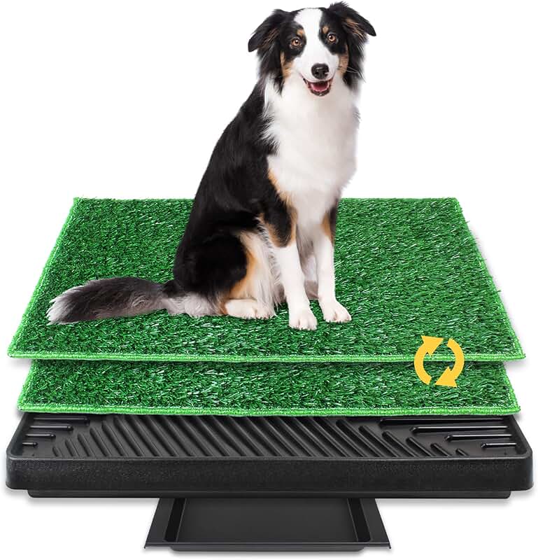 Amazon.co.uk Dog Litter Boxes Dog Litter Boxes / Litter