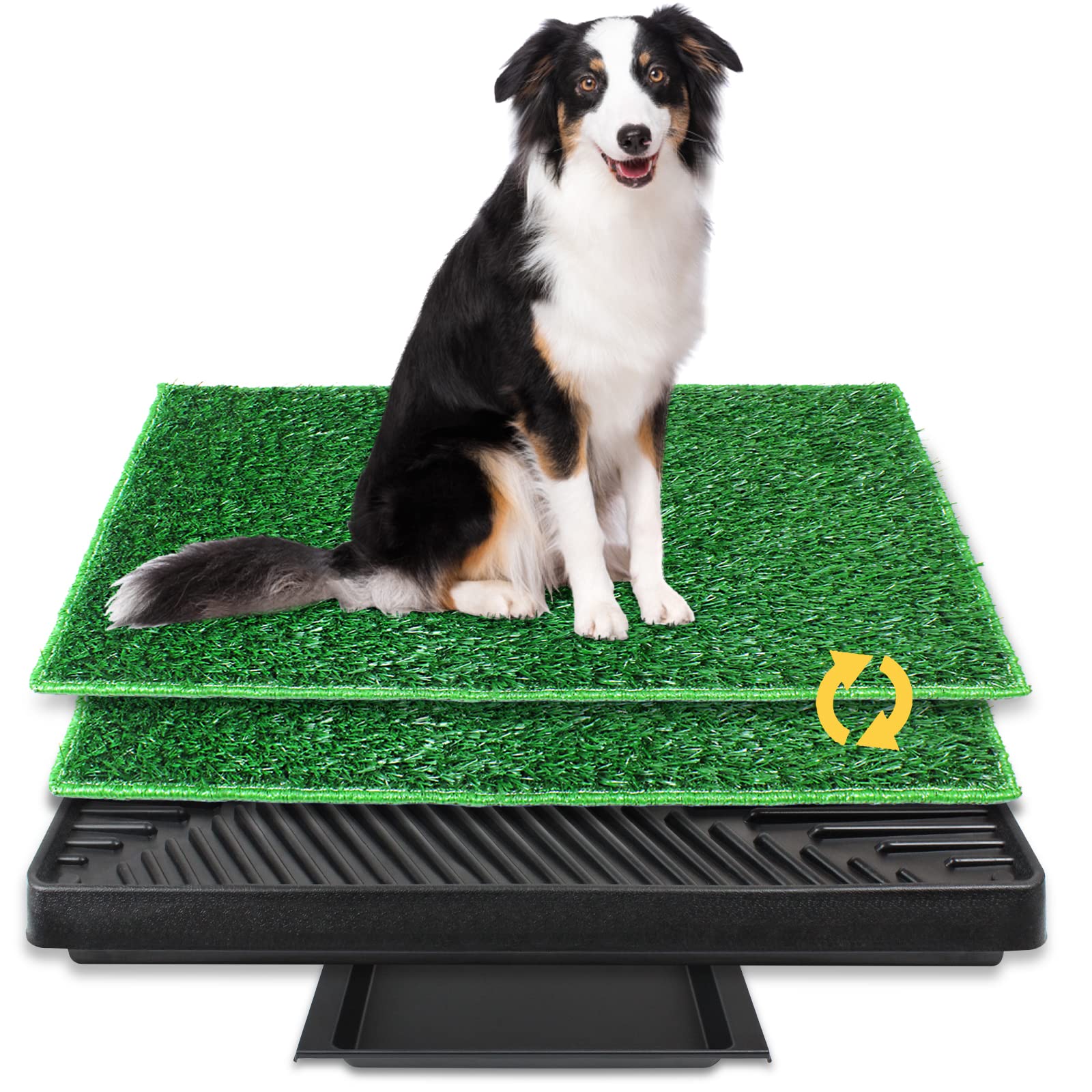 BRIAN & DANY Large Dog Grass Pad with Tray, Dog Litter Box with 2 Artificial Pee Grasses (20" x 30")