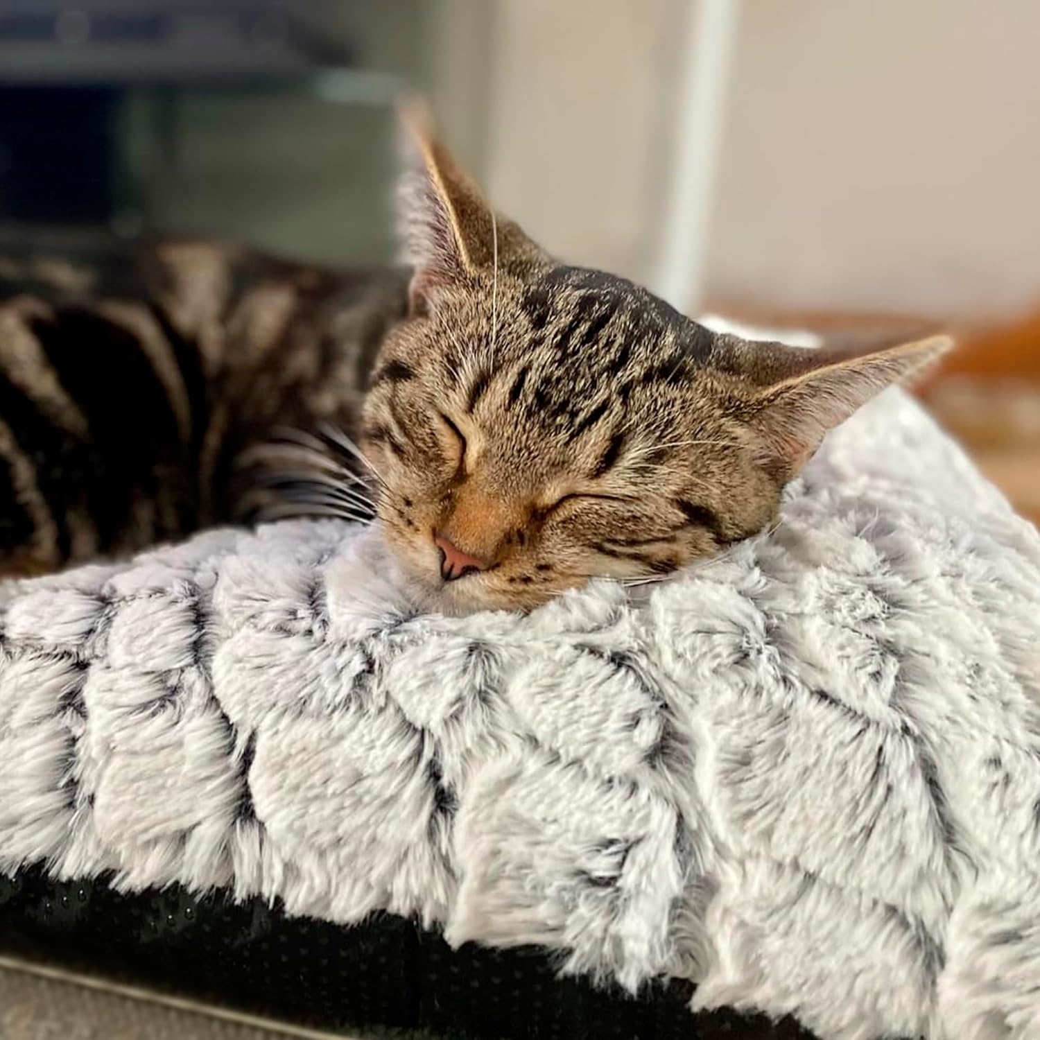 81BiGjuzg0L. AC SL1500