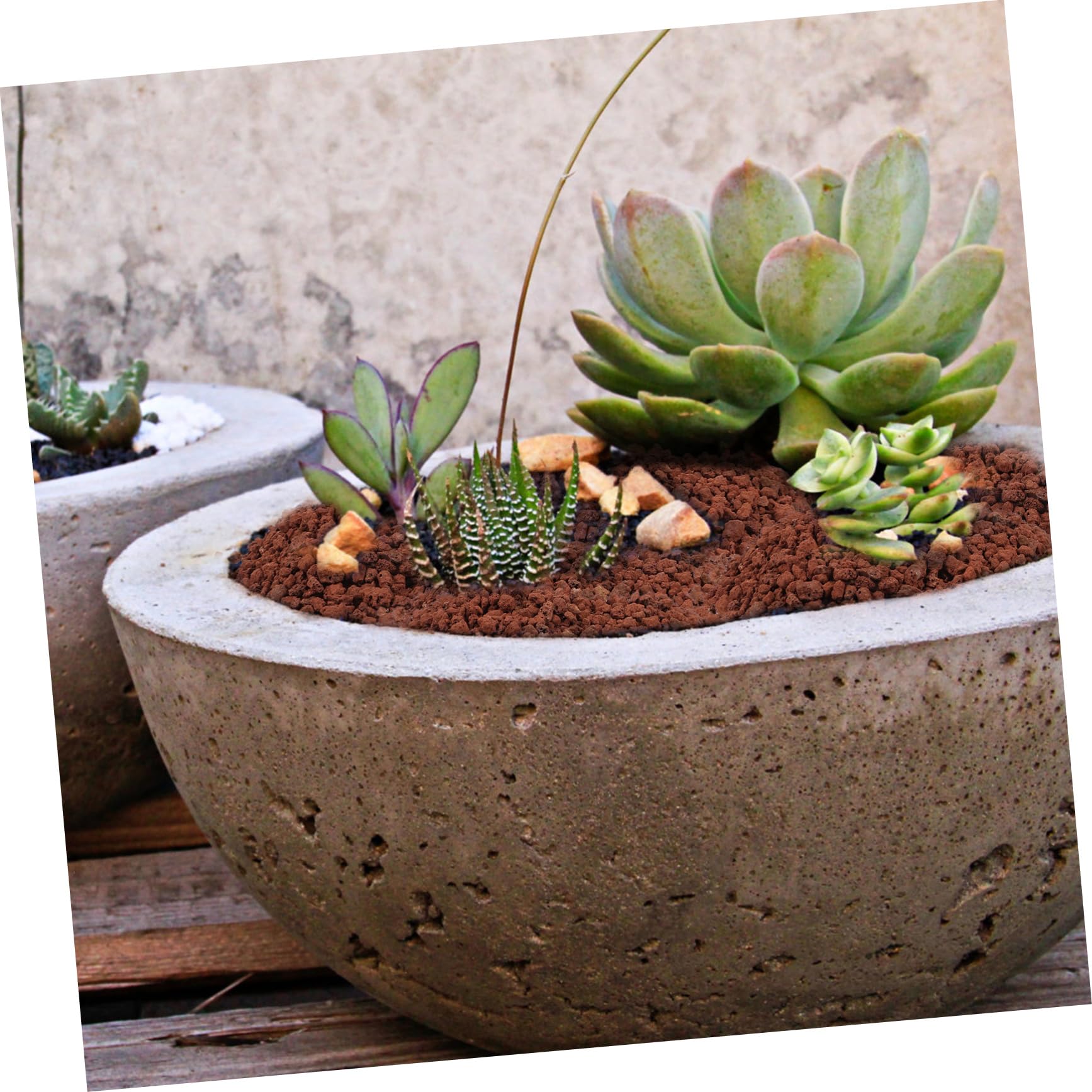 5taschen Beutel Vulkansteine Für Aquarien Und Pflanzen Dekorative Steine Für Fischbecken Blumentöpfe Und Bonsai Naturstein Deko Für Innenräume Und Terrarien
