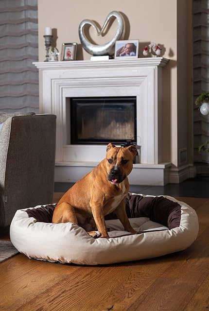 Foto 6 de 8 de BedDog® Sunny Beige XXXL Aprox. 150x120cm colchón para Perro, 13 Colores, Cama, sofá, Cesta para Perro