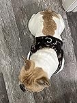 Review Image by Amazon Customer