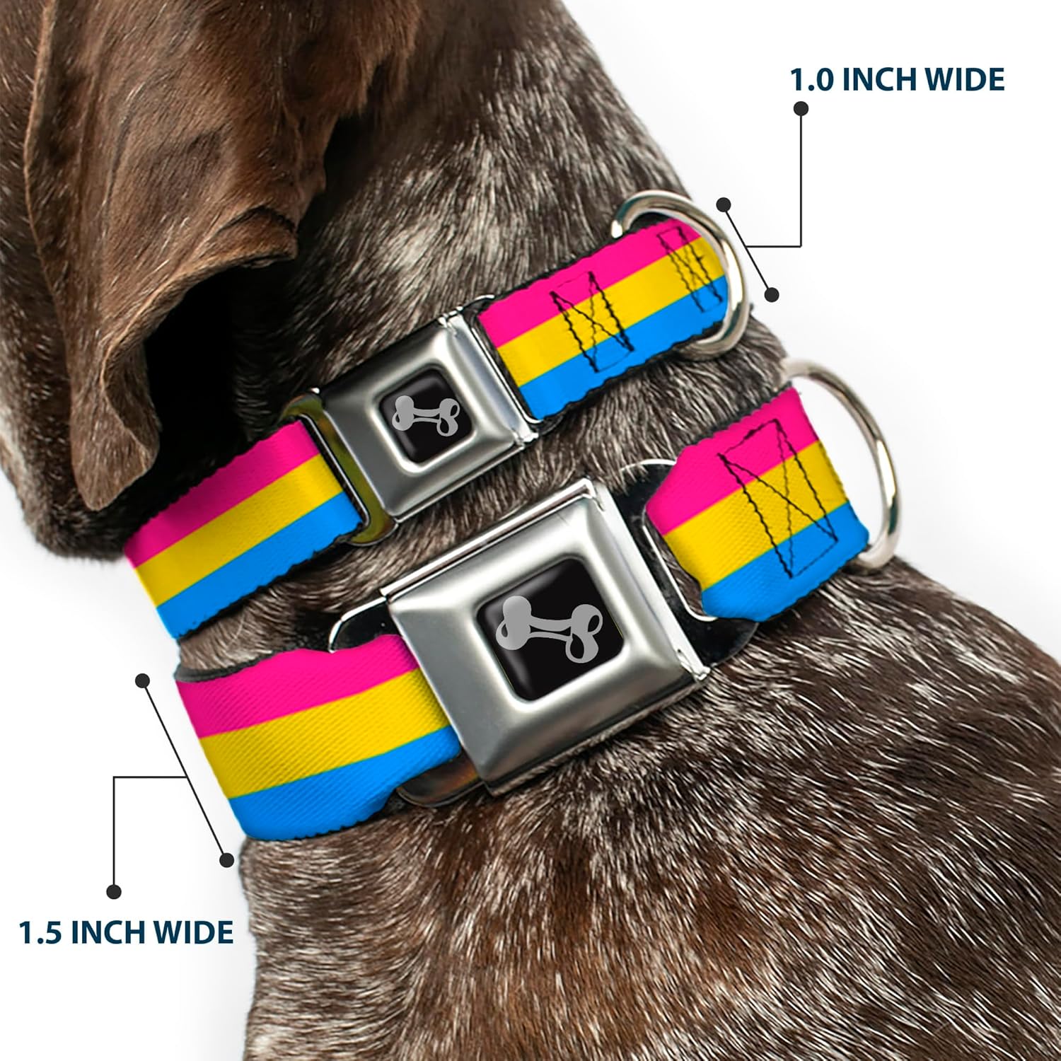 Dog Collar Seatbelt Buckle Flag Pansexual Pink Yellow Blue 15 to 26 Inches 1.0 Inch Wide