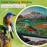Acrylic Window Bird Feeder with 4 Strong Suction Cups, Clear Bird House, Removable Food Tray with Drain Holes, Easy Install and Clean for Backyard and Outdoor