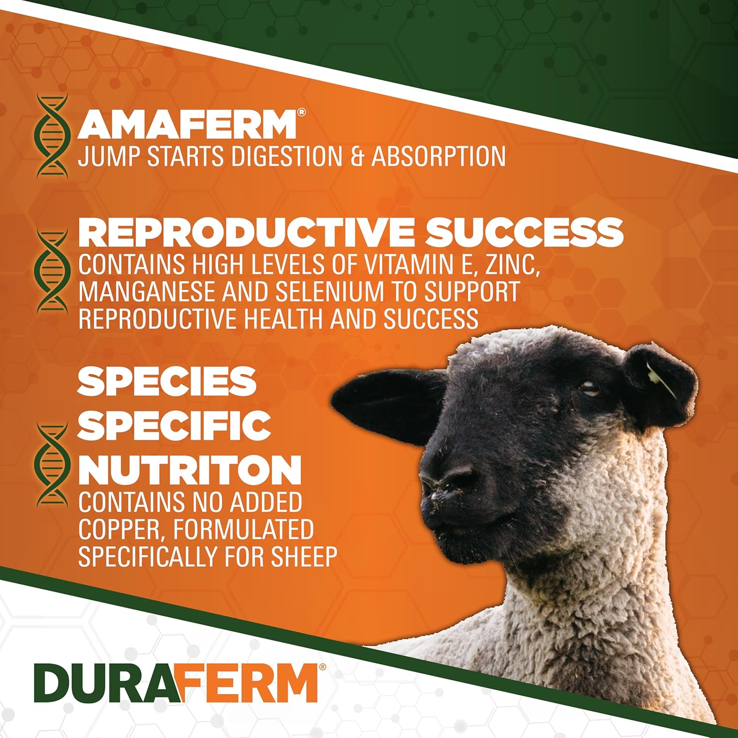 DuraFerm® Concept•Aid® Sheep - 12 lb. Bag