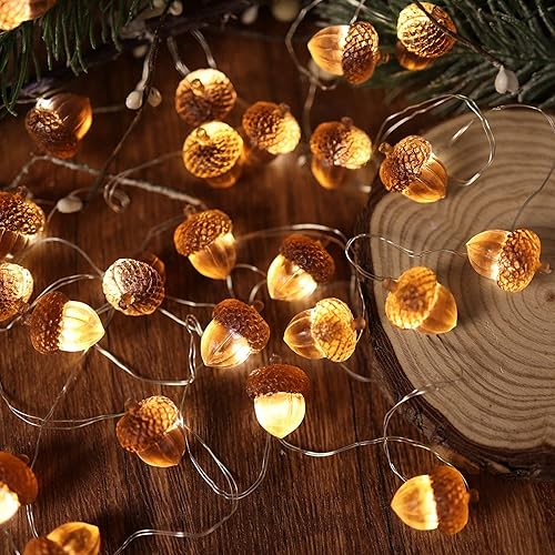 JASHIKA 3D Twinkle Acorn Fall Decorations Harvest String Lights 10ft