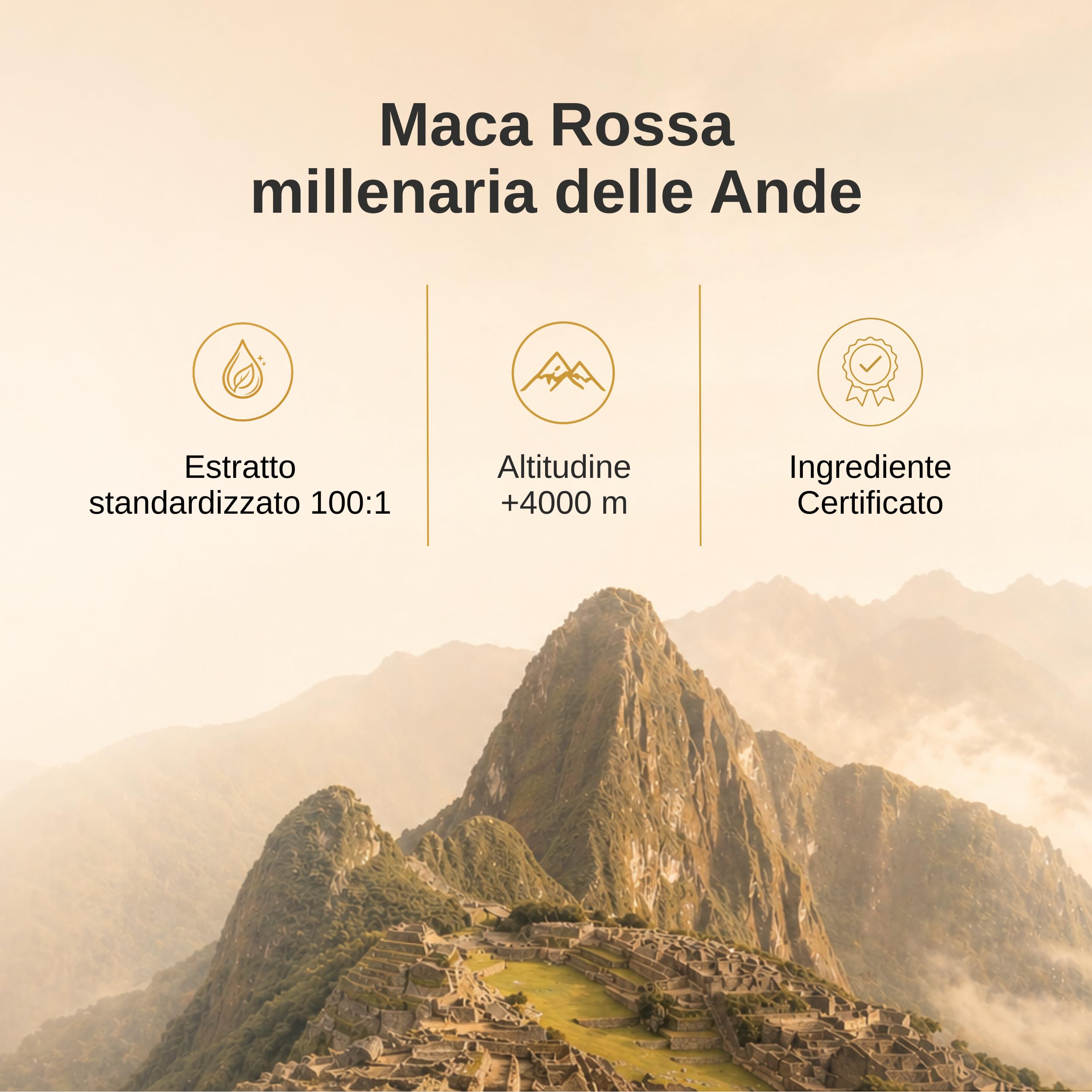 Maca Rossa Donna con Salvia, Fieno Greco e Damiana – Supporto Ormonale Femminile, Energia e Benessere – 25.000 mg Equivalenti di Maca Rossa in Polvere – 180 Capsule, 60 Dosi – Nyvos