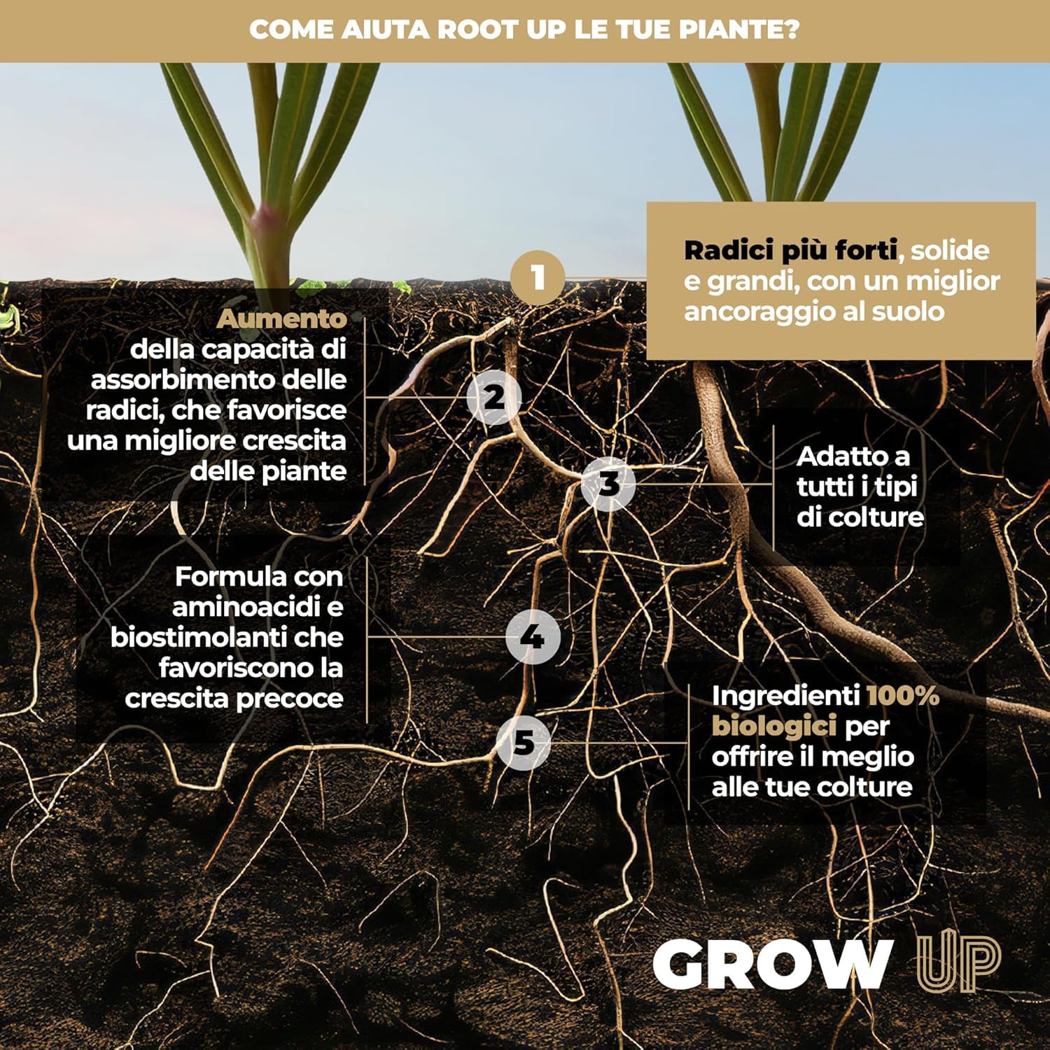 UP NUTRIENTS ROOT UP 250 ml - Fertilizzante organico al 100% vegetale, favorisce radici forti, grandi e robuste per piante, coltivazioni e talee