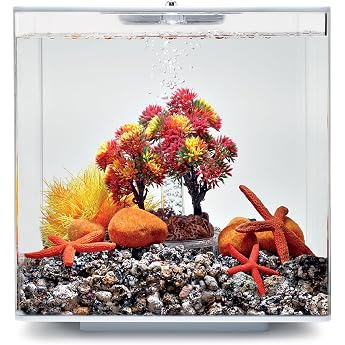 Oase Decor Set Autumn 15 l multi-coloured