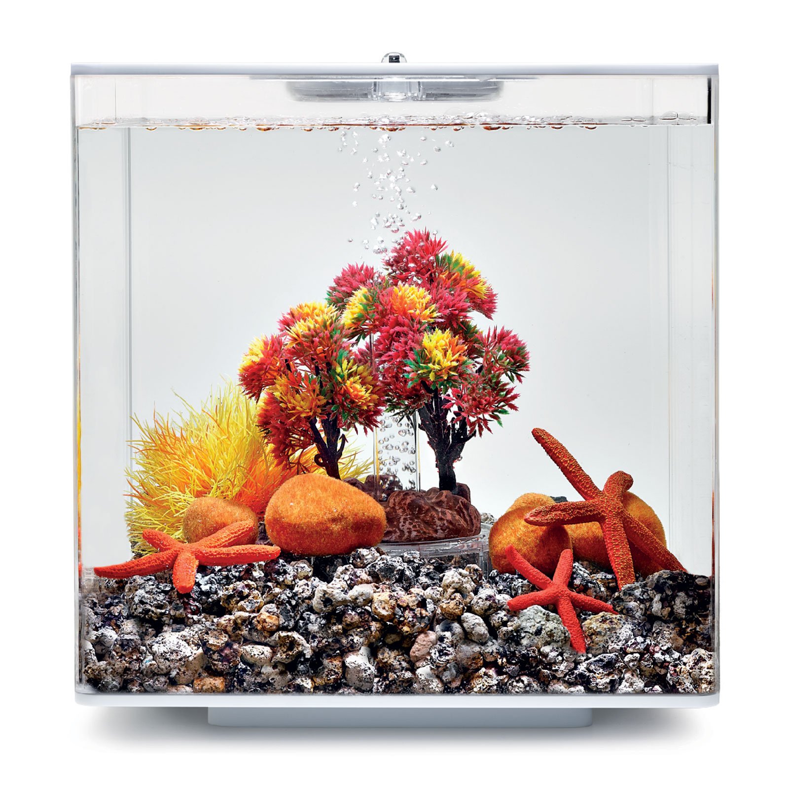biOrb 55024 Decor Set 15L Herbst - herbstliches, farbenfrohes Aquarien-Dekor / geeignet für 15 l biOrb-Aquarien