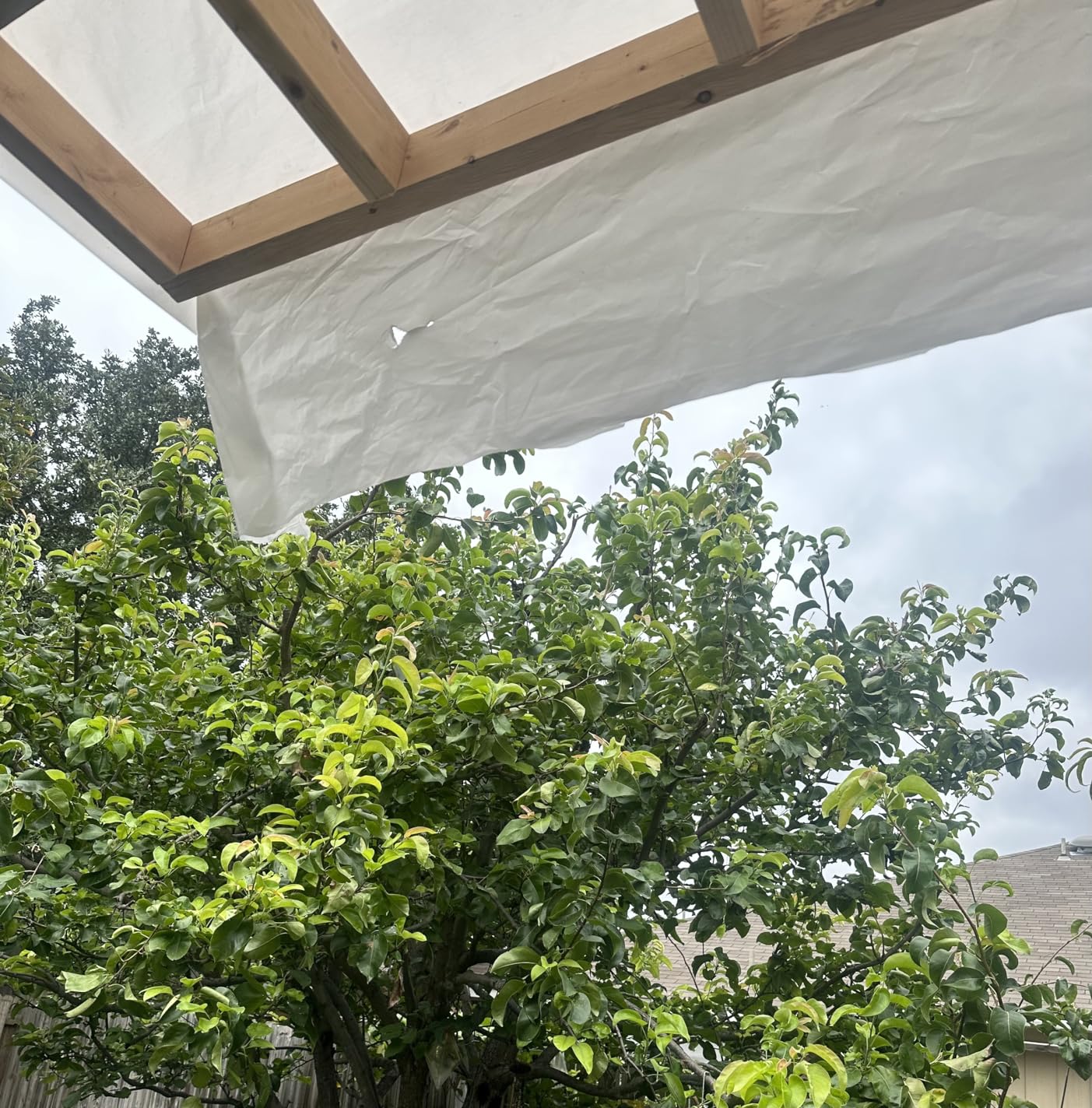 AFQH Clear Poly Sheeting Thick Plastic Tarp,Waterproof Vapor And Dust Protective Equipment Cover For Covering Henhouse Porch Plant Camping - View #5