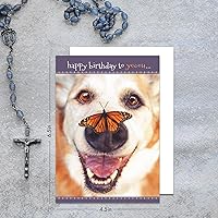 Vista 3 de Faithfully Yours Designer Greetings - Bonitas tarjetas de cumpleaños surtidas en caja, amigos peludos con versículos bíblicos de las Escrituras