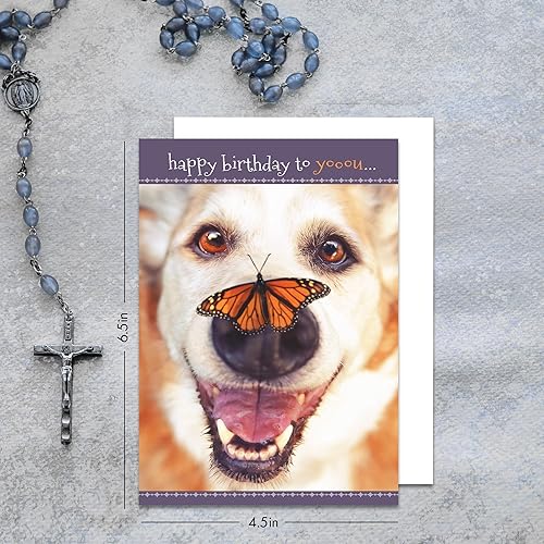 Miniatura 3 de Faithfully Yours Designer Greetings - Bonitas tarjetas de cumpleaños surtidas en caja, amigos peludos con versículos bíblicos de las Escrituras