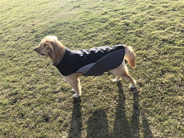 Foto 7 de 7 de Chaqueta para perros al aire libre, chaqueta deportiva para perros pequeños, medianos y grandes