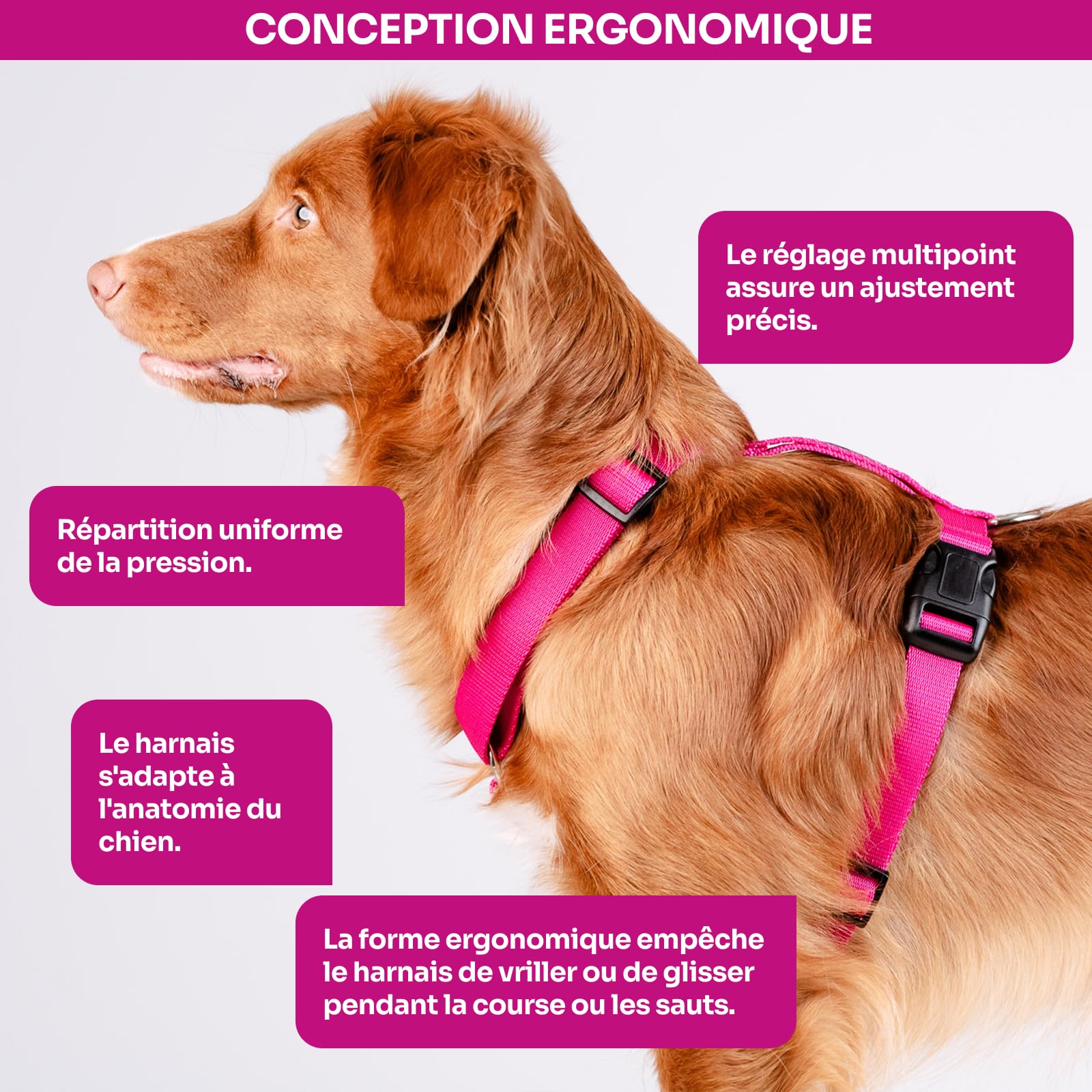 Chaba Guard Harnais pour Petit Chien, Anti Traction, Réglable en 5 Points, Empêchant la Traction et l'étouffement, Confortable et léger, Harnais de Poitrine Classique, Harnet Chien, Taille M, Fusion