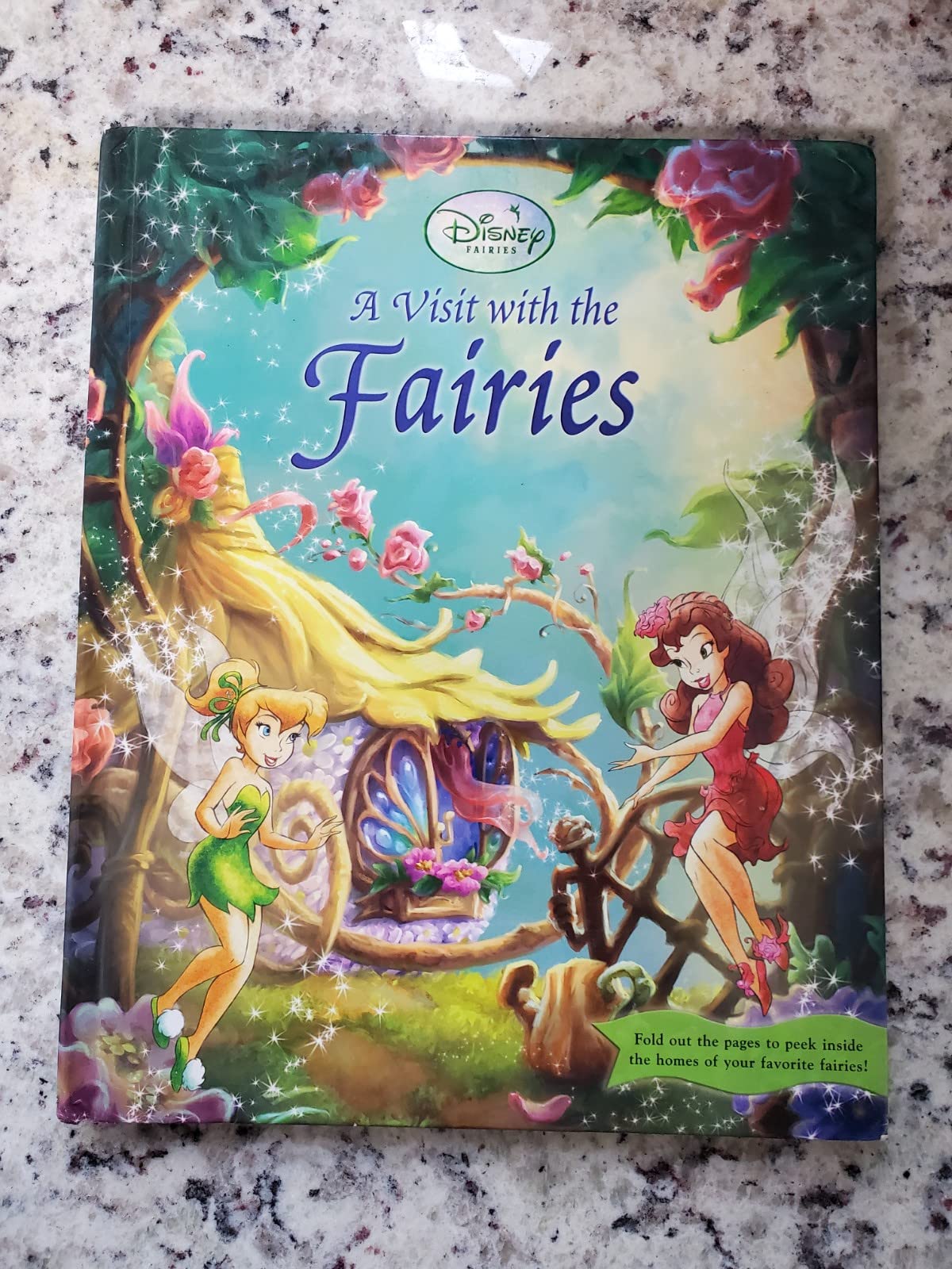 A Visit With the Fairies