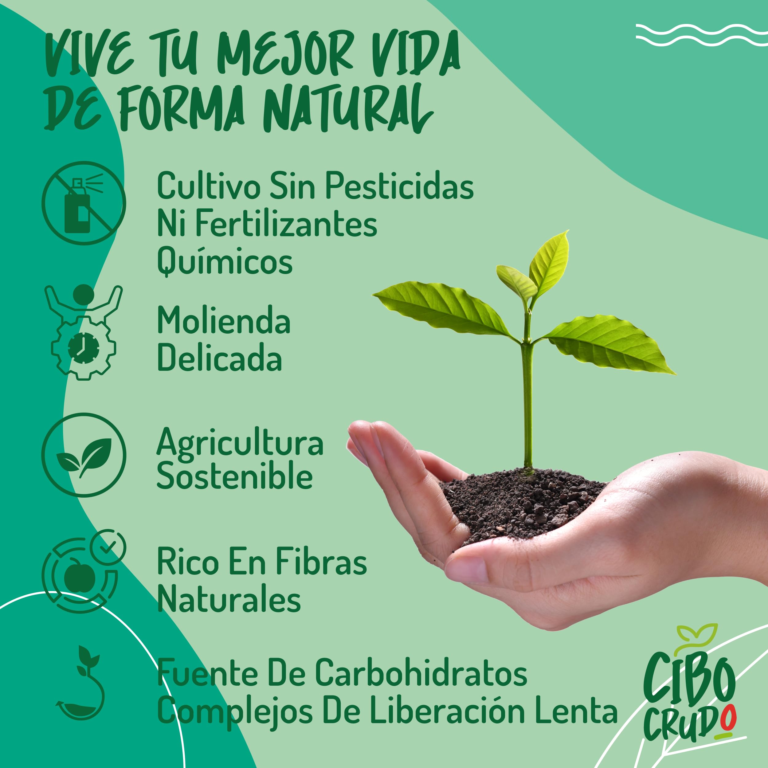 CiboCrudo Fibra de Acacia Orgánica en Polvo - 500g. Alto Contenido en Fibra Soluble Para Adelgazar (85%) Sin Azúcares. Goma Arabiga Dietética Vegana para Dietas Cetogénicas y la Digestión