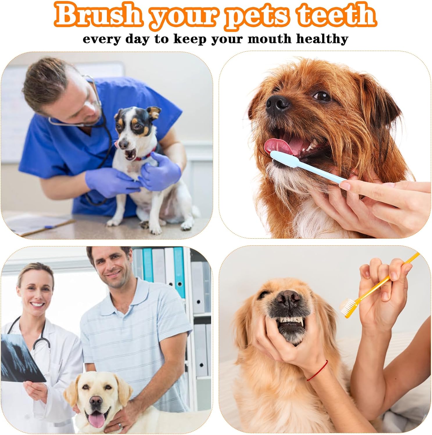 300Pcs Dog Toothbrushes Bulk Dual Headed Dog Teeth Long Handle Plastic Brush Tooth Brush for Large Small Dogs Cats Puppy Teeth Cleaning Dental Care Supplies 10 Colors+