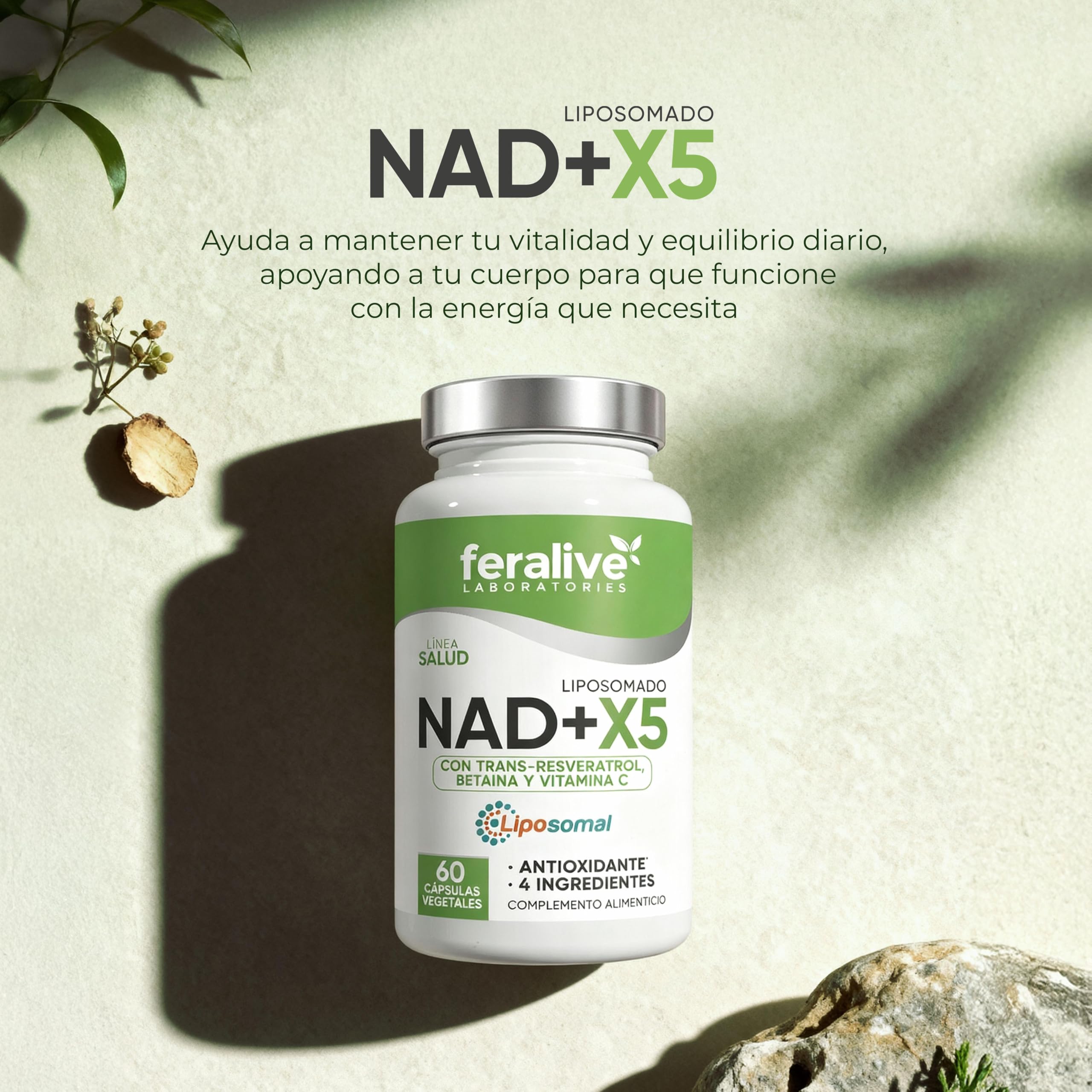 NAD+X5 60 Cápsulas Liposomadas – NAD+ + Trans-Resveratrol + Betaína – Suplemento para Energía Celular, Vitalidad y Longevidad