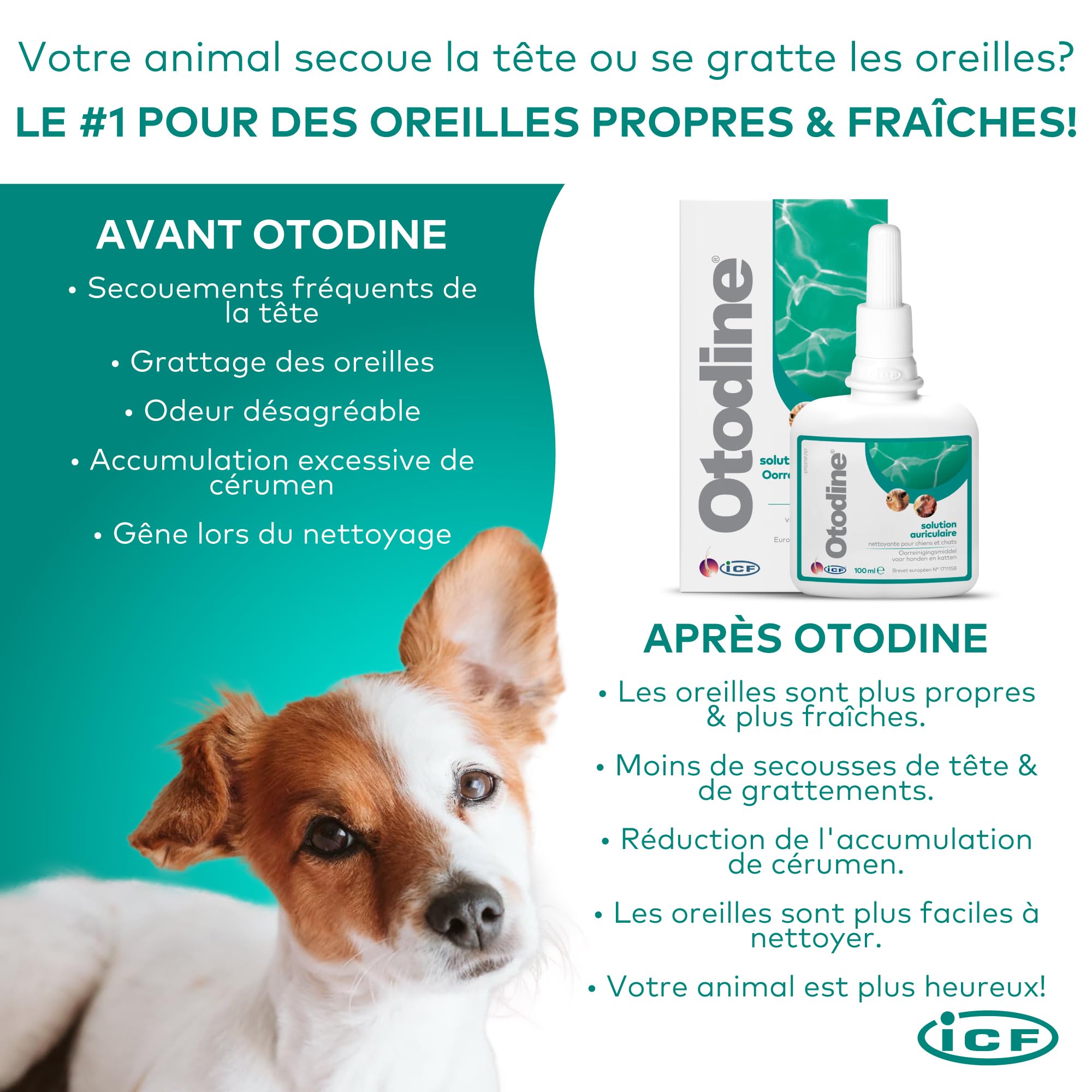 ICF Otodine | Nettoyant Oreille Chien et Chat | Nettoyant Auriculaire Assainissant pour Chien et Chat | Soin pour l'Hygiène et la Santé Auriculaire des Animaux Sujets à l'Otite Externe | 100ml