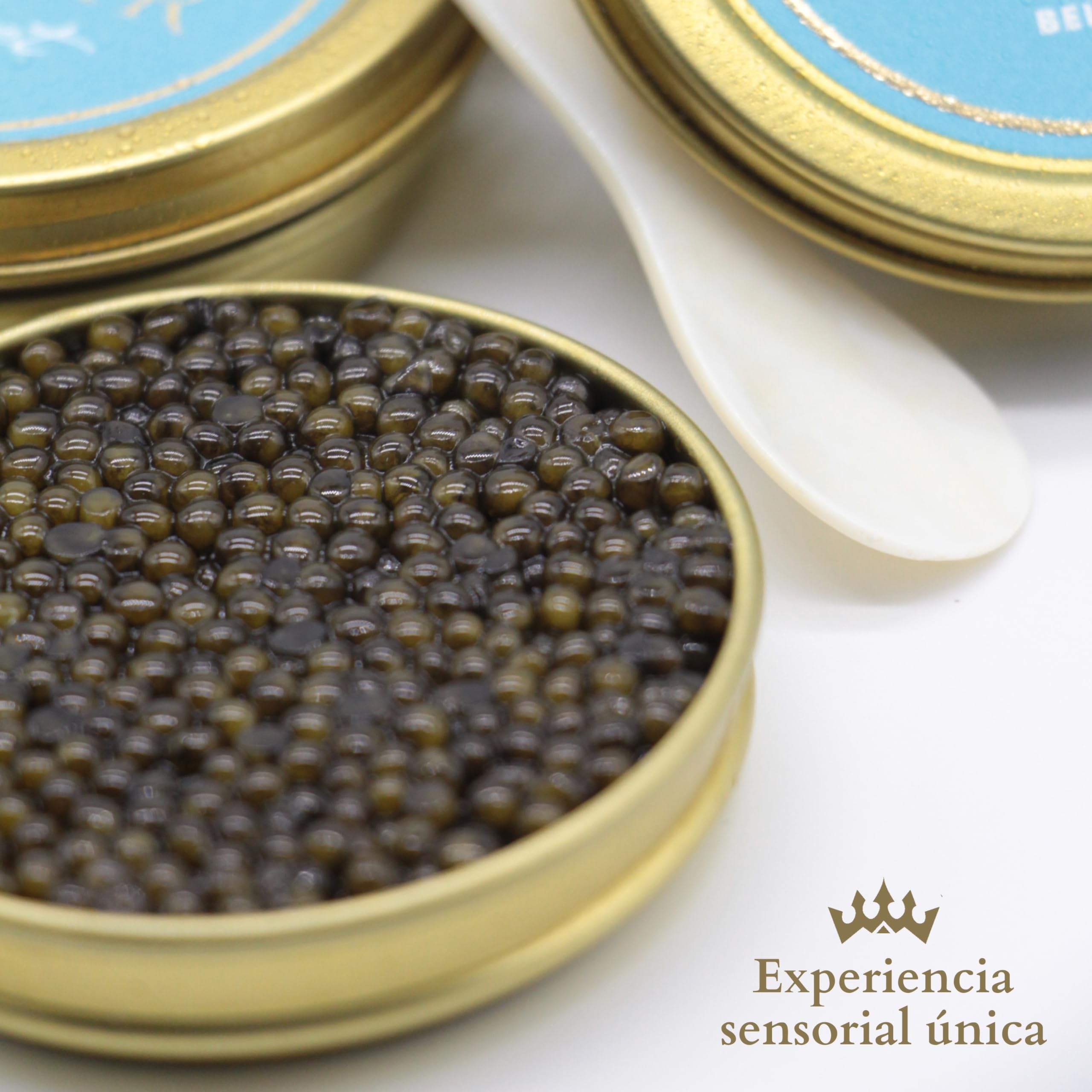 Caviar del Tíbet – Caviar Beluga 100 GR – Caviar de Esturión Huso Dauricus – Huevas de Caviar Kaluga – Caviar Gourmet…