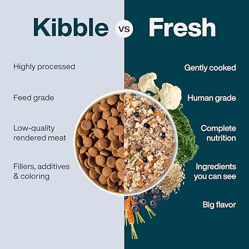 Miniatura 34 de JustFoodForDogs Alimento fresco congelado para perros, comida completa o alimento para perros, receta de alimento humano de carne de res y patata