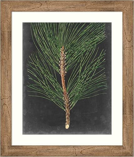Miniatura 17 de Amanti Art Impresión artística enmarcada para pared, 44 x 36 pulgadas, dramático pino I de Vision Studio, arte de pared de naturaleza, decoración