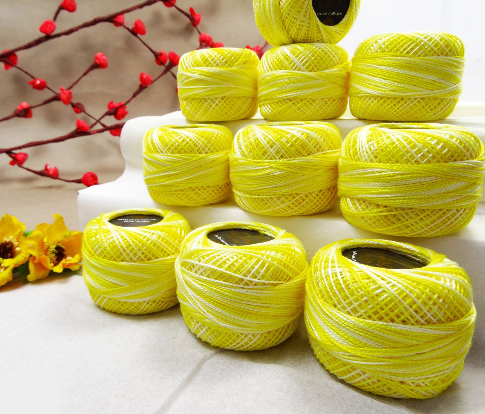 IBA Indianbeautifulart Crochet Set De 10 Pièces Fil De Coton