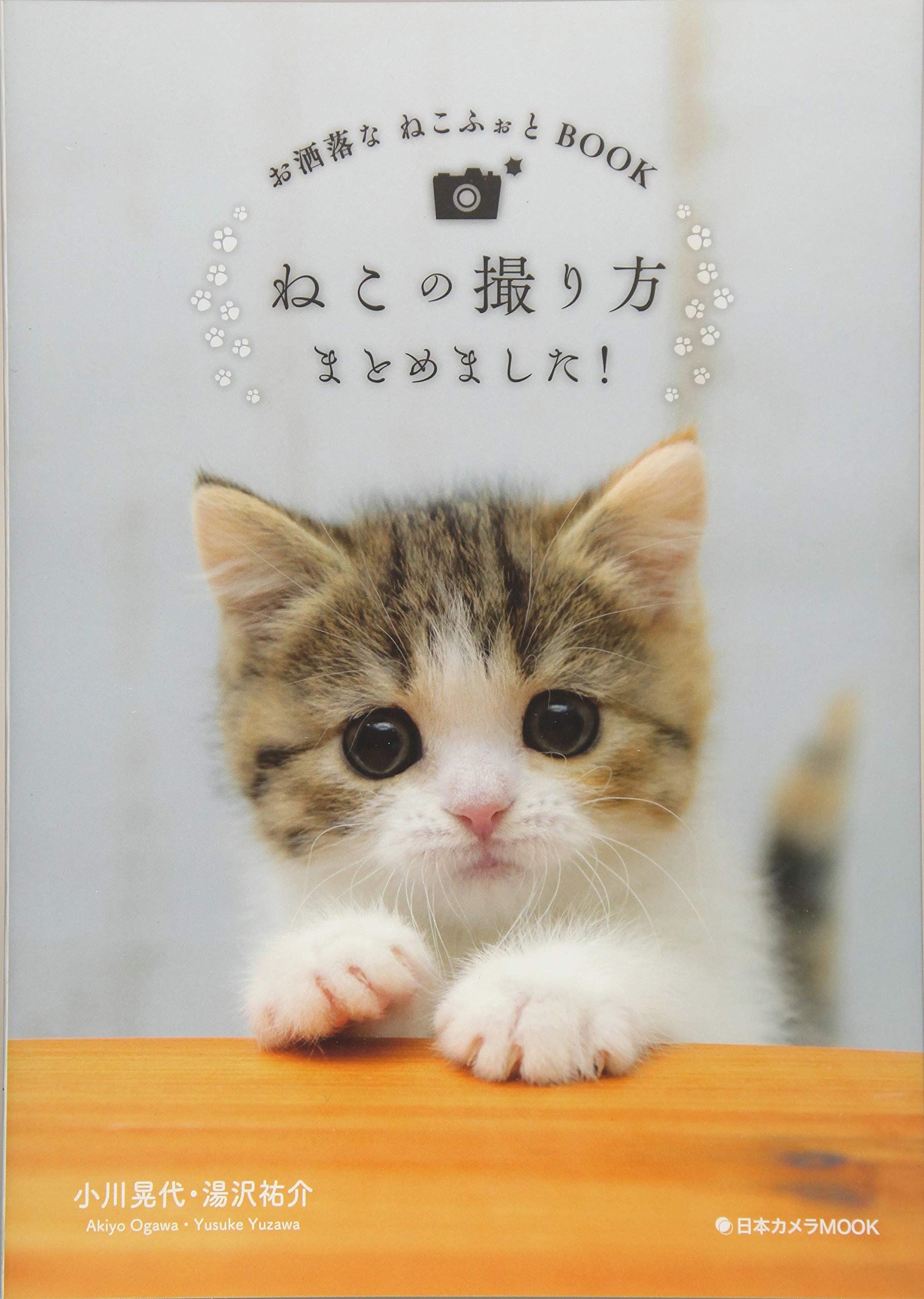 ねこの撮り方まとめました お洒落なねこふぉとbook 日本カメラmook 小川 晃代 湯沢 祐介 本 通販 Amazon