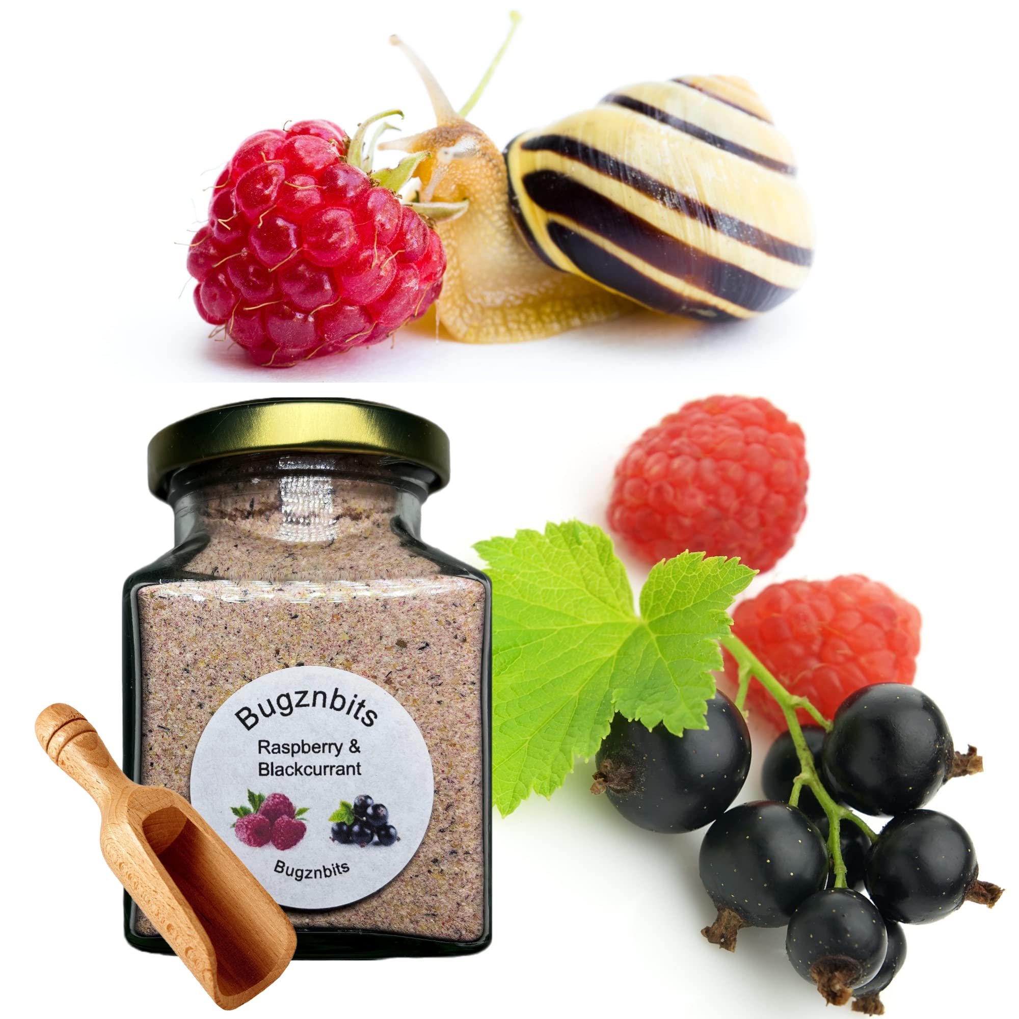 Bugznbits Giant African Land Snail Food, 100% Organic Blend with Raspberry & Blackcurrant, Also Great for Millipedes & Hermit Crabs (210ml Refillable Jar)