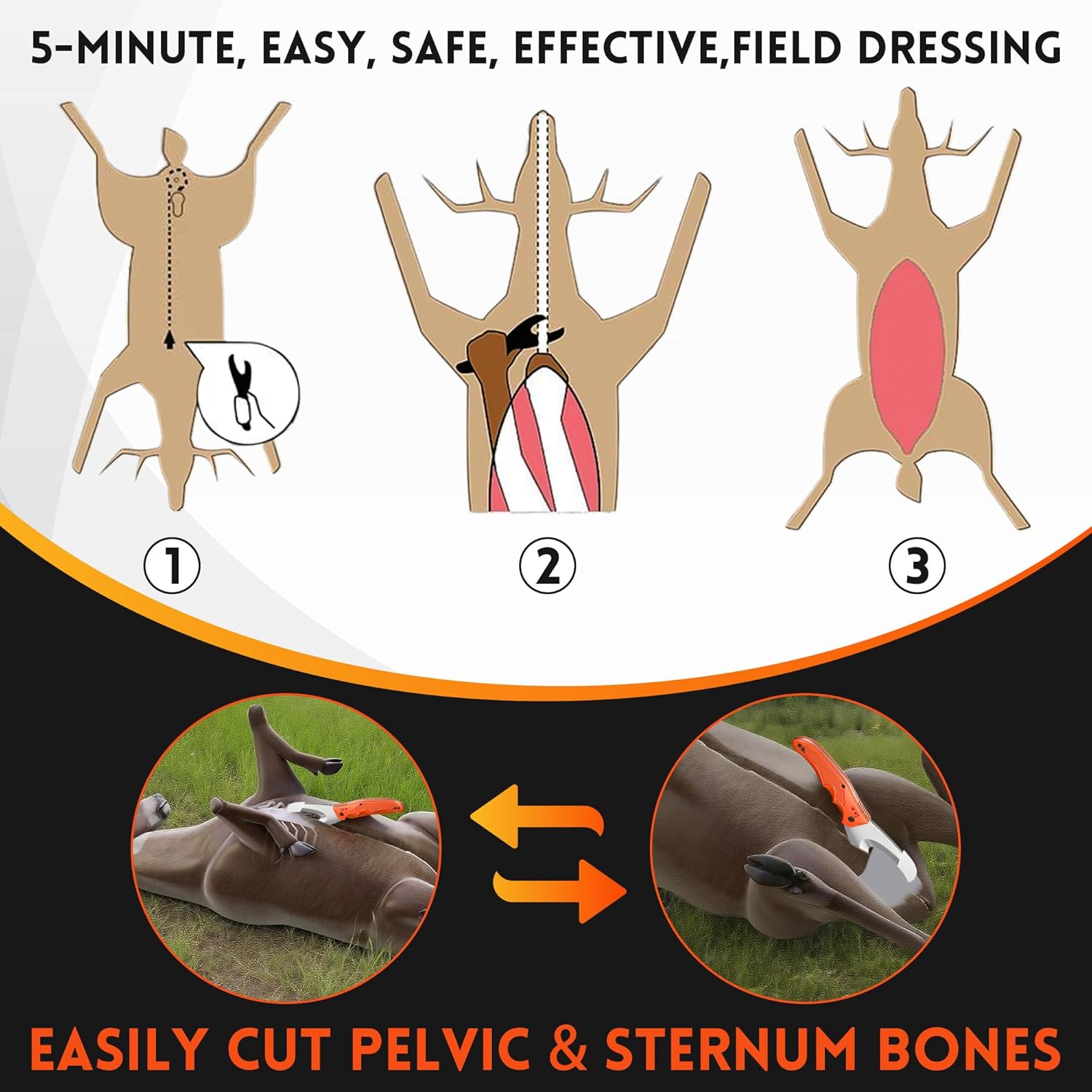 Field Dressing Kit for Deer Hunting, 3-in-1 Super Utility Skinning Knife with Black Nylon Sheath & Ceramic Sharpener & Assist Protective Cap, Deer Gut Hook Knife