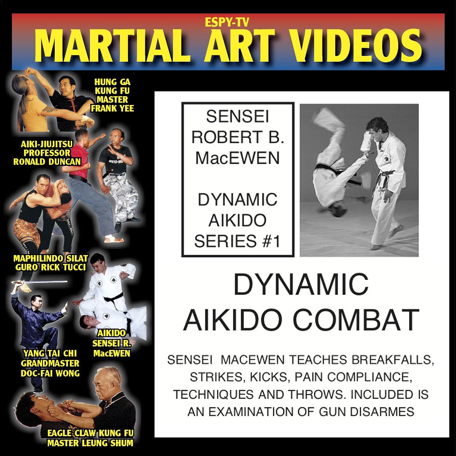 Dynamic Aikido Video 1 Dynamic Aikio Combat Sensei