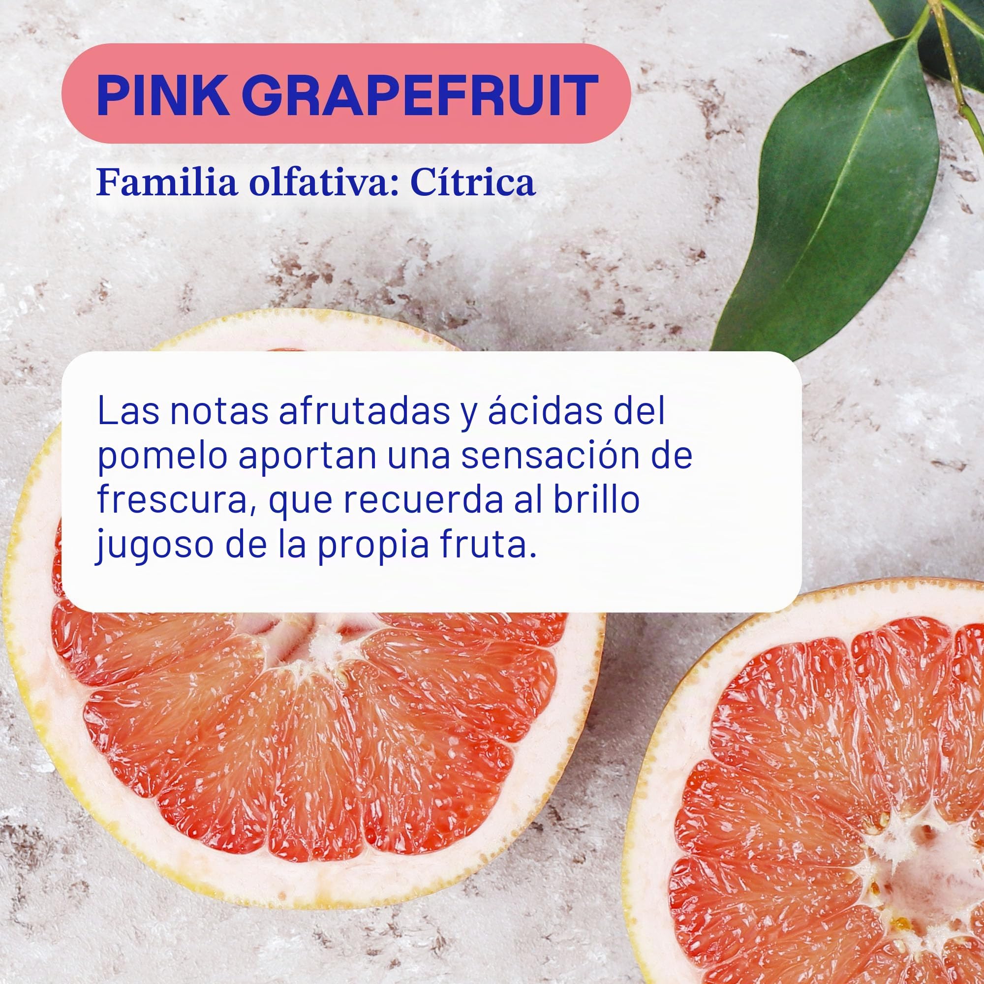 ATTITUDE Detergente líquido para ropa, jabón de lavandería verificado por EWG, compatible con HE, productos veganos y de origen vegetal, libre de crueldad, pomelo rosa, 35 cargas, 35.5 onzas líquidas