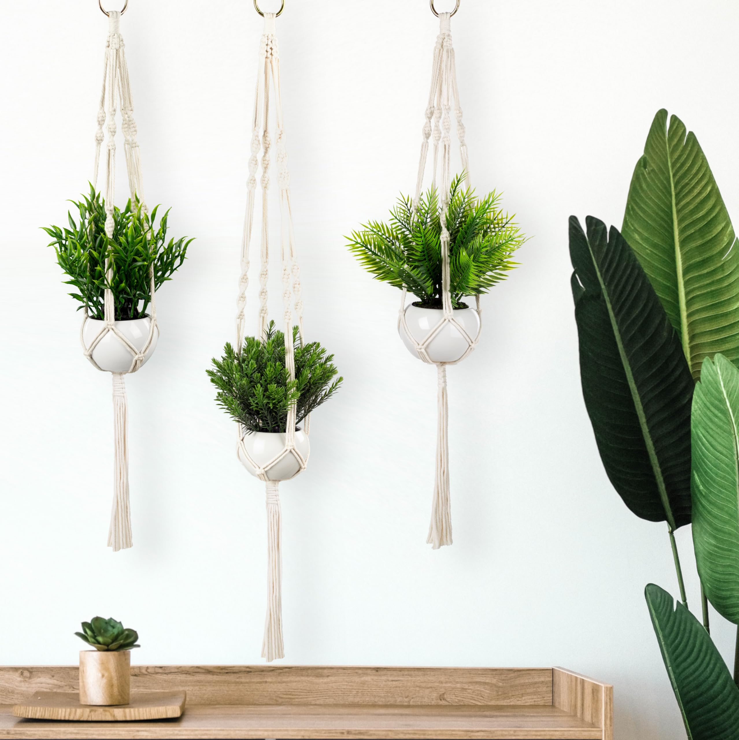 PASCH 3er Set Kunstpflanzen mit Makramee Blumenampel und weien  Keramiktpfen | Knstliche Pflanzen (23 cm) + Blumenampel Makramee  (80-100cm) | Hngepflanze knstlich | Knstliche Hngepflanzen : Amazon.de:  Kche, Haushalt & Wohnen