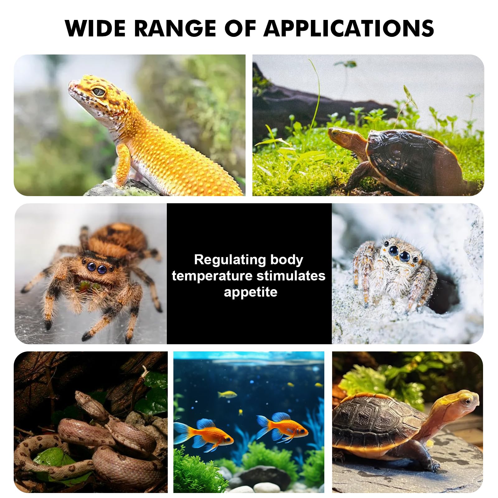 Reptilien Terrarium Dome Lampenfassung E27, Reptile Dome, Reptilien Lampenschirm mit Dimmer und Zeitschaltuhr, Wärmelampe Fassung Kuppelbefestigung für Eidechsen Schildkröte Bartagame Huhn Hund