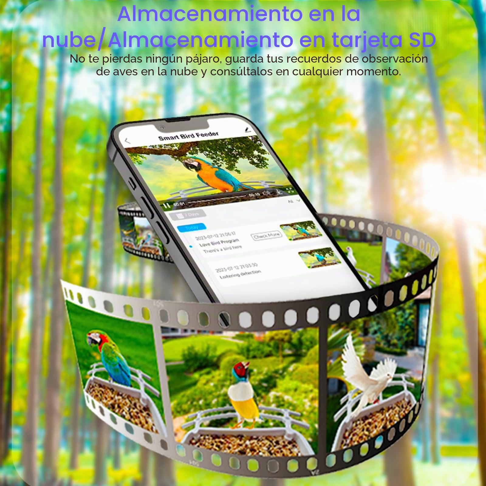 Casita para Pájaros con Cámara, Nido con Cámara | Comedero con Grabación de Vídeo, Dispensador Inteligente WiFi con Panel Solar y Reconocimiento de aves AI