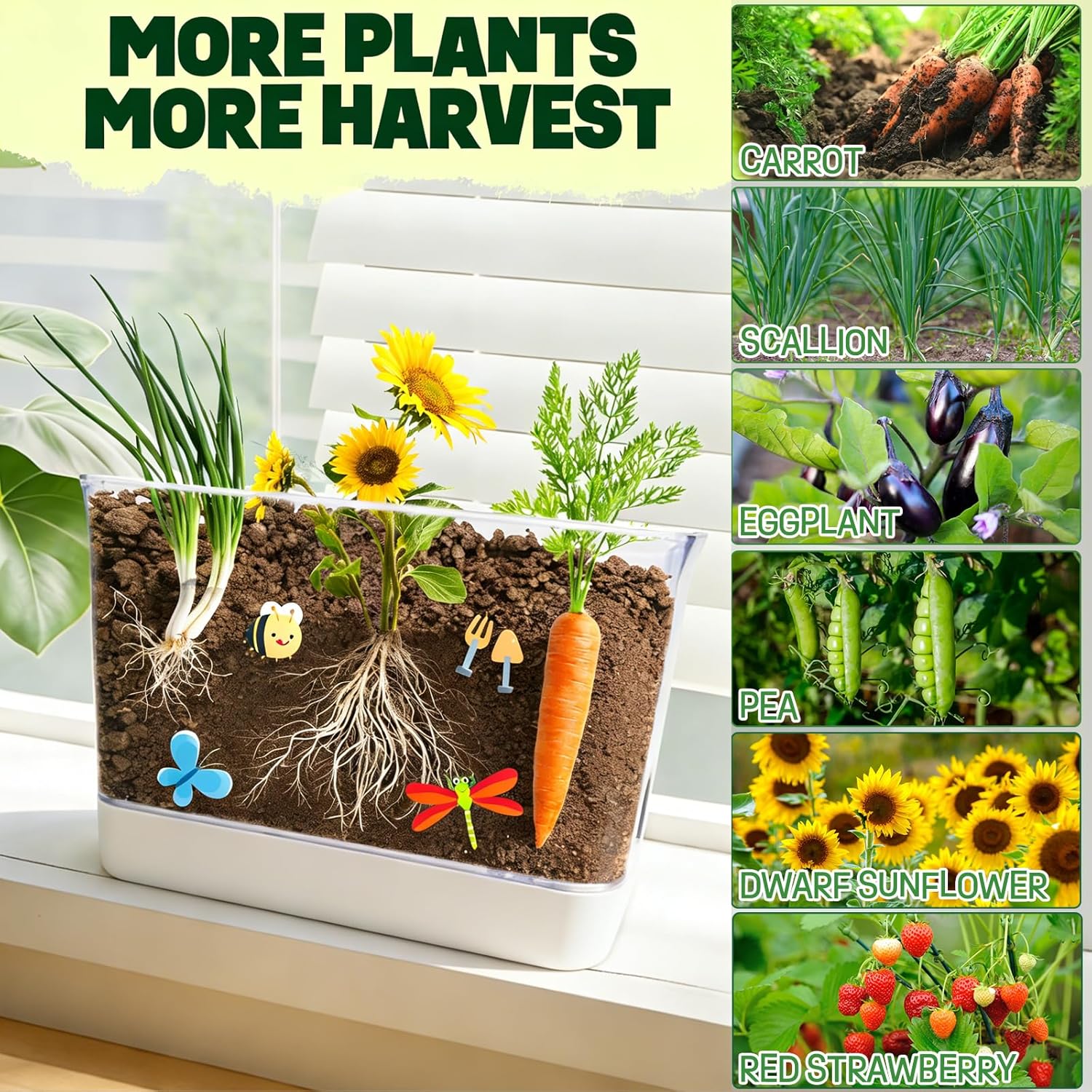 Large Root Viewer Kit for Kids STEM Science Toy Growing Kits for Ages 4, 5, 6, 7, 8, 9,10 Birthday Gifts for Boys Girls, DIY Set, Includes Strawberry, Eggplant, Dwarf Sunflower, Carrot, Pea, Scallion