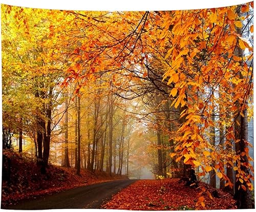 Miniatura 1 de KABAKE Tapiz de paisaje, temporada de otoño, árboles de otoño con niebla matutina en el bosque, arte relajante, foto de la naturaleza, para colgar