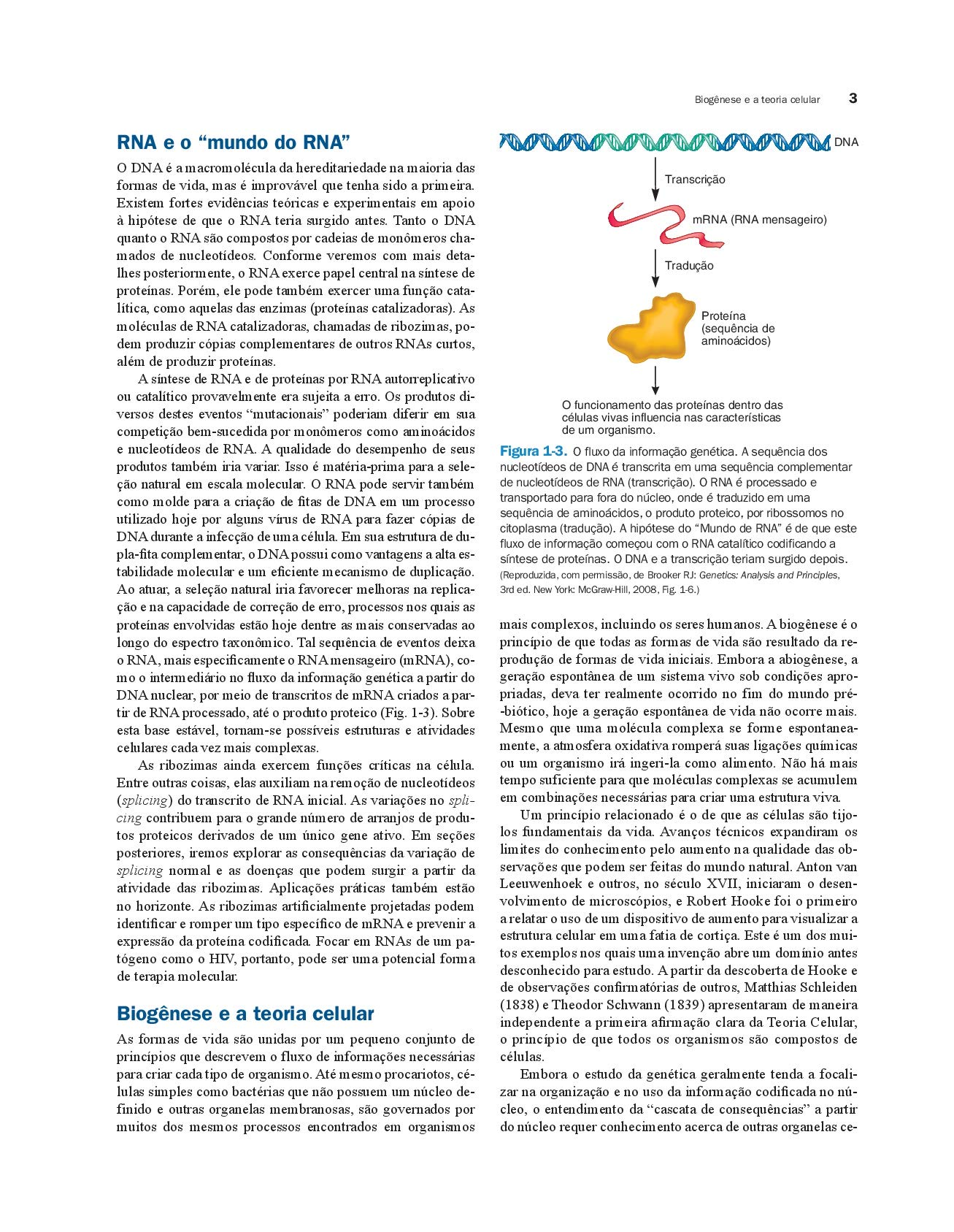 Genética Médica. Uma Abordagem Integrada (Em Portuguese do Brasil)