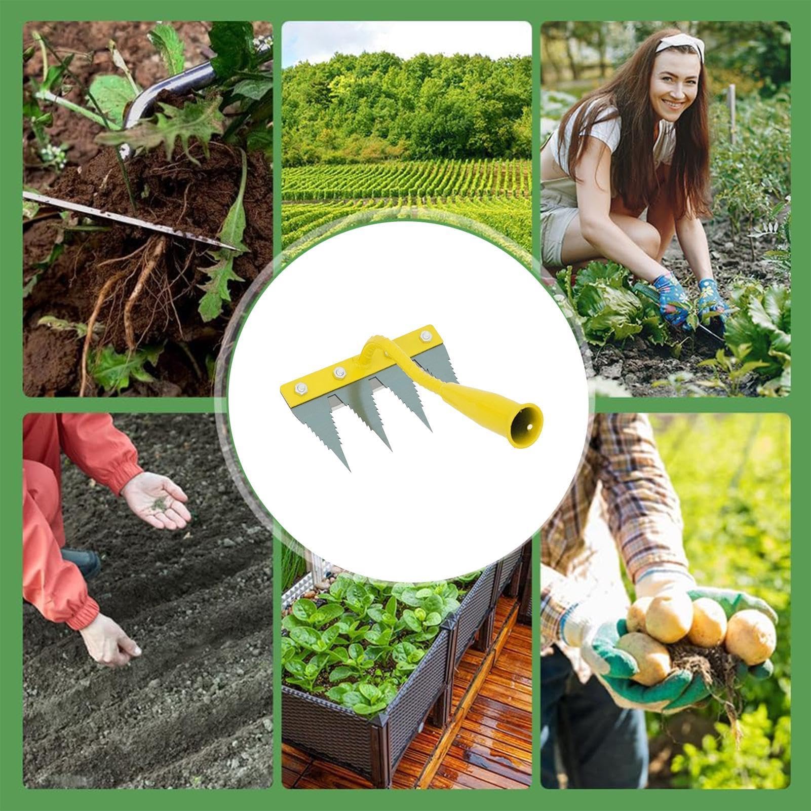 Generico Rastrelli da Giardinaggio Rimuovi Erbacce livellante e Resistente | Estirpatore manuale per Giardino, Prato, Cortile, Aiuola, Serra, Vivaio, Frutteto, Azienda Agricola, Esterno