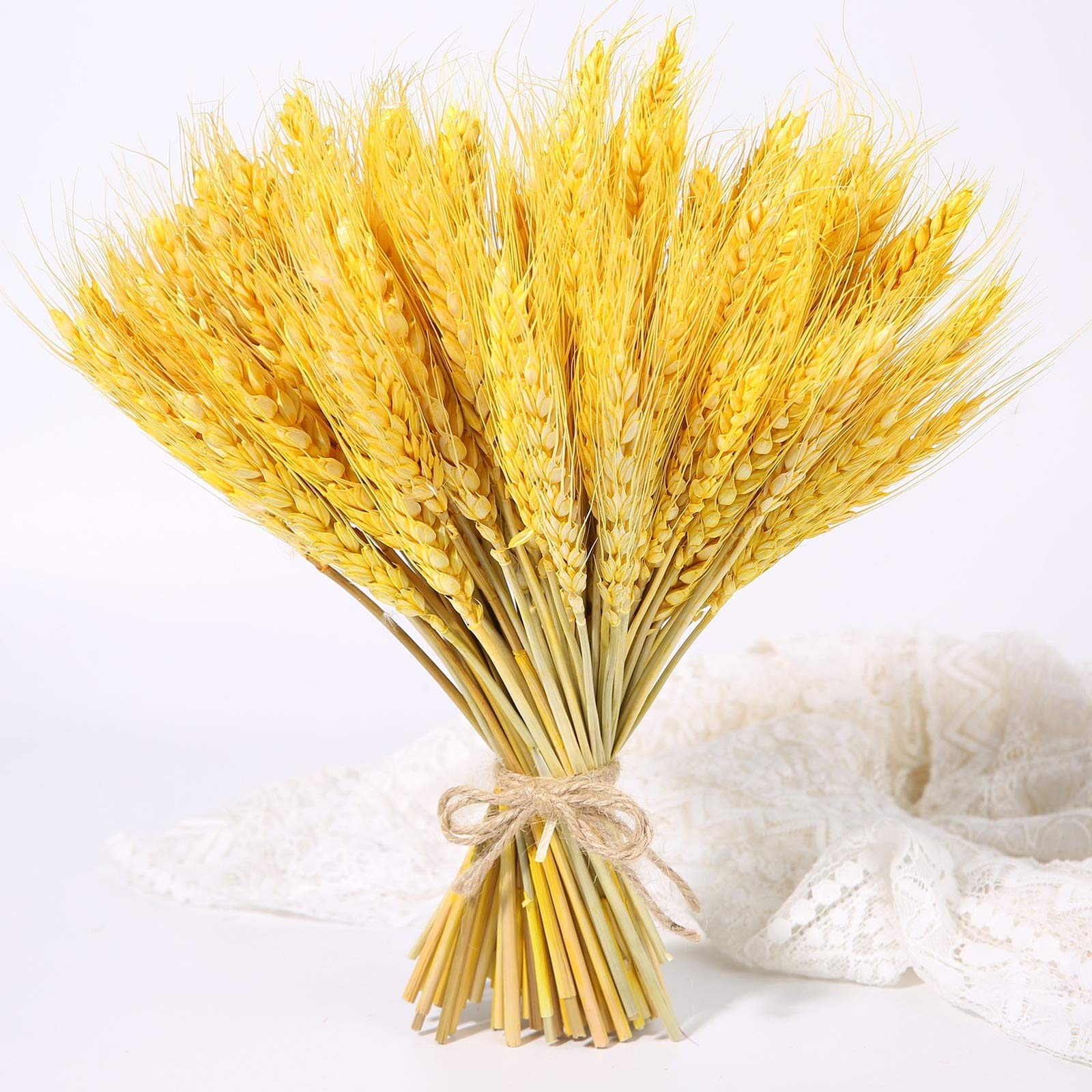 bouquet da matrimonio, Mazzo di grano Phragmites erba pampa essiccata naturale da 50