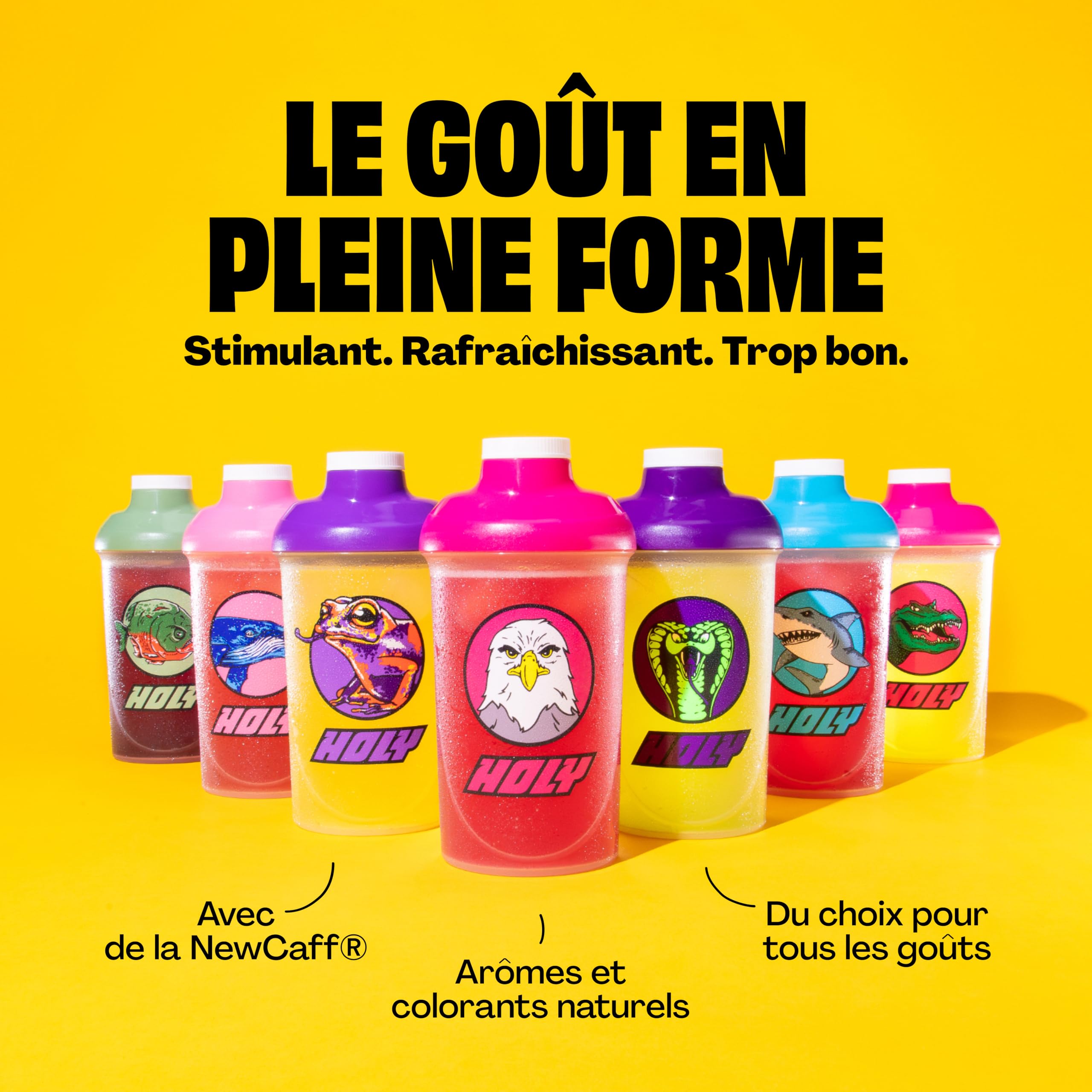 HOLY Energy Starter Set - Focus Drink | 2x7 portions au goût fruité et intense | Boosté par NewCaff & extrait de thé vert | Végétalien, sans sucre, arômes de fruits 100% naturels