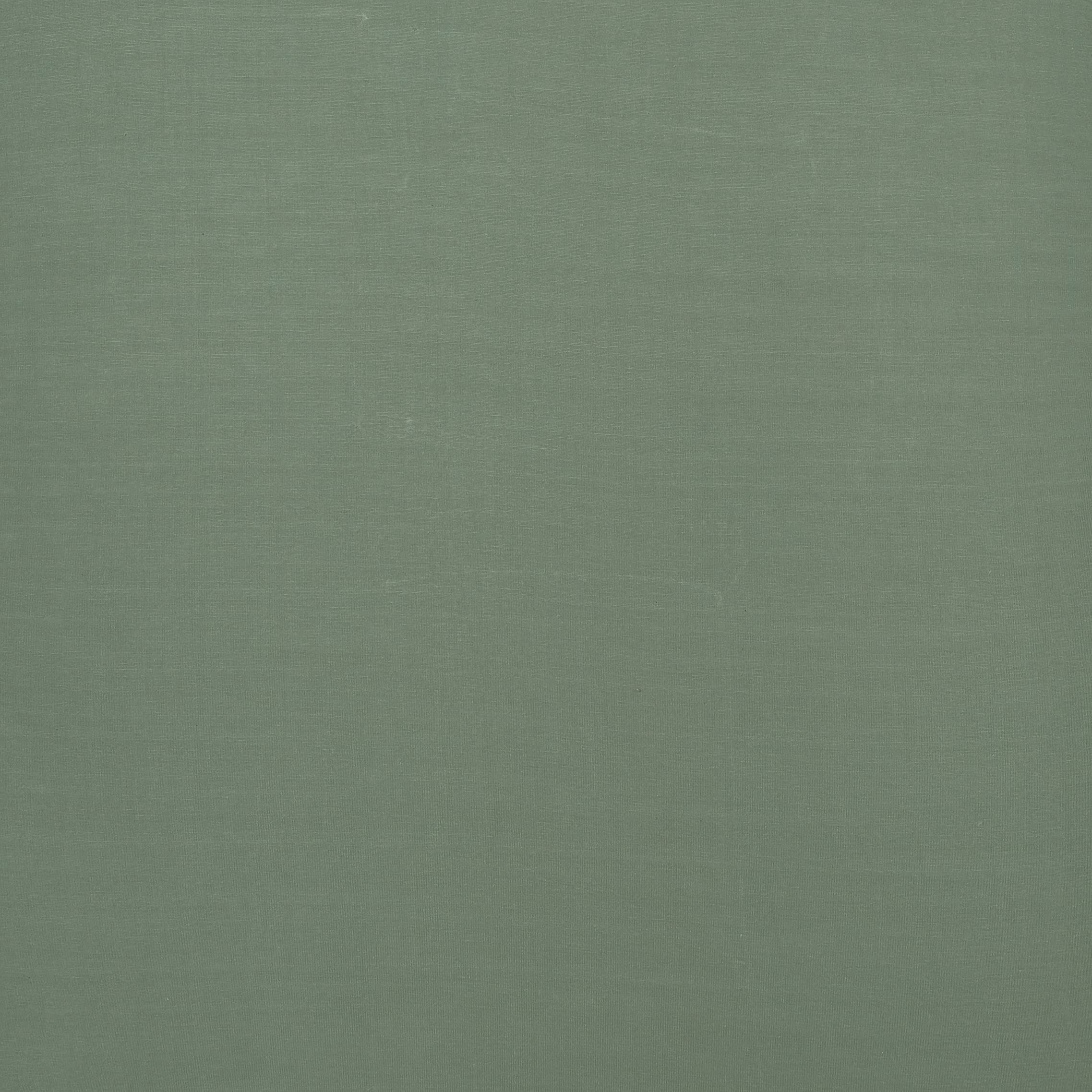Meyco Home Basic Jersey Uni, lenzuolo per 1 persona (lenzuolo in morbido jersey di qualità, in 100% cotone, dimensioni: 120 x 200 cm), grigio chiaro