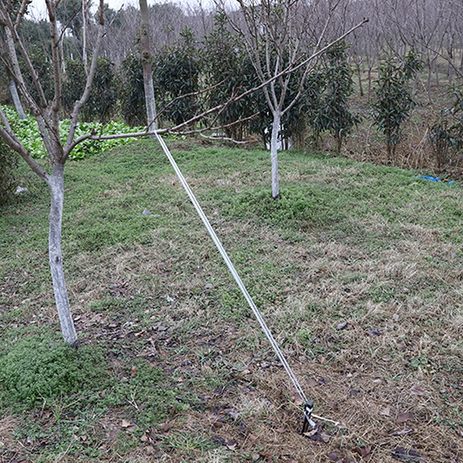 Paletti da giardino in plastica, 40 pezzi, chiodi neri con