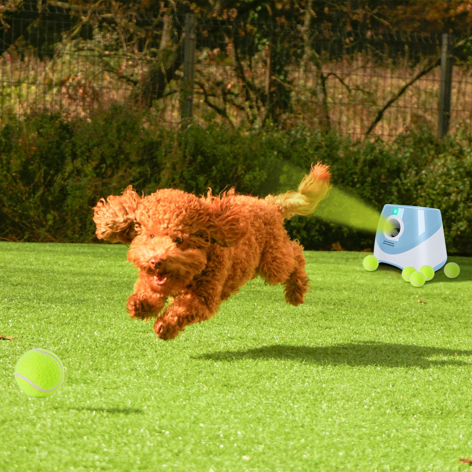 Lancia Palline per Cani, Spara Palline Automatico con 6 Palline, Giocattoli Interattivi per Cani di Piccola Taglia, Macchina Lanciapalle per Cane per Interni ed Esterni, Blu