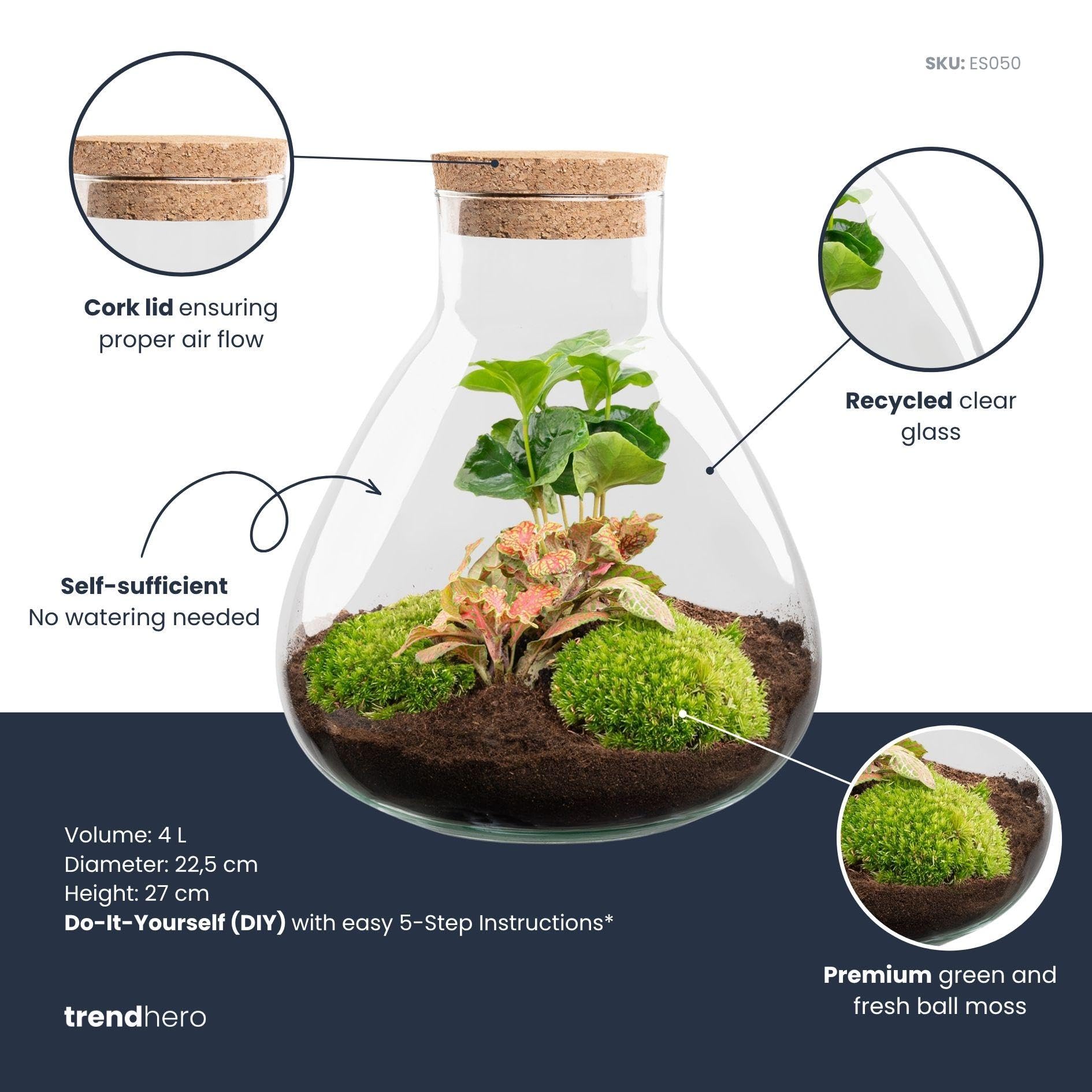 Kit Terrarium Fai da Te in Vetro, Interno, Verde, Ø 22.5 cm